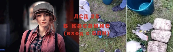 ECSTASY Кукмор